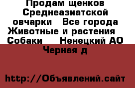 Продам щенков Среднеазиатской овчарки - Все города Животные и растения » Собаки   . Ненецкий АО,Черная д.